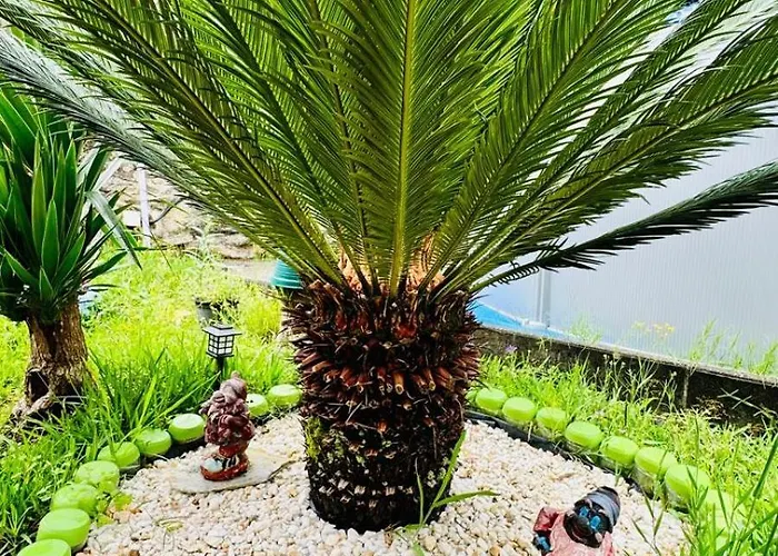 Casa A Voada - Rural Con Piscina Privada, Barbacoa Y Juegos